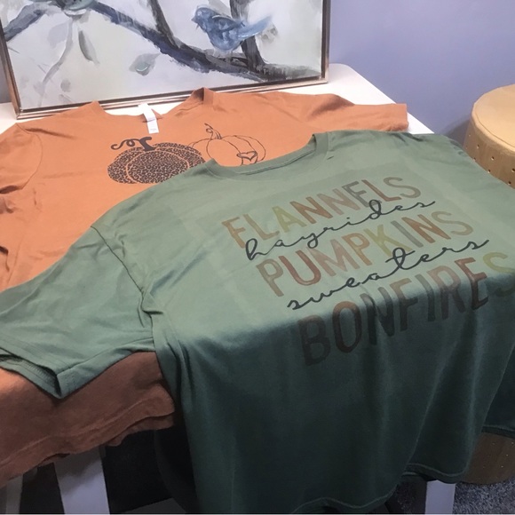 Fall pumpkins bundle of two Women’s 2X Darling Tees - Picture 4 of 7
